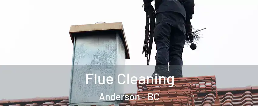  Flue Cleaning Anderson - BC