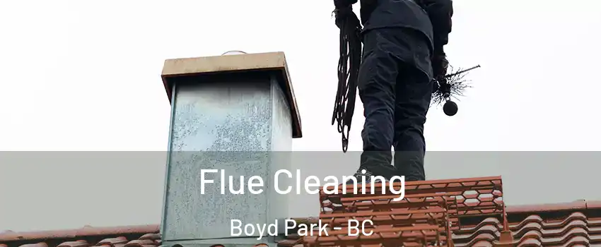  Flue Cleaning Boyd Park - BC