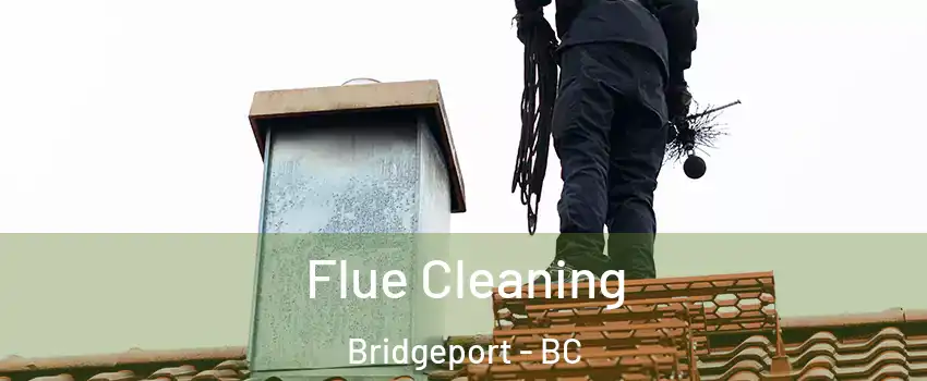  Flue Cleaning Bridgeport - BC