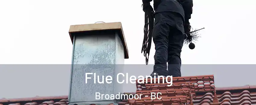  Flue Cleaning Broadmoor - BC