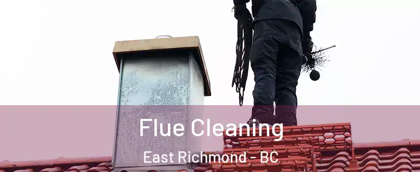  Flue Cleaning East Richmond - BC