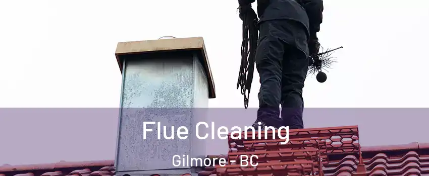  Flue Cleaning Gilmore - BC