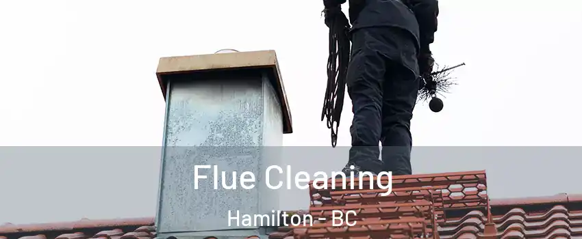  Flue Cleaning Hamilton - BC