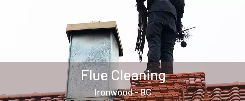  Flue Cleaning Ironwood - BC