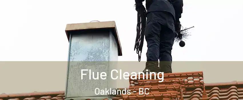  Flue Cleaning Oaklands - BC