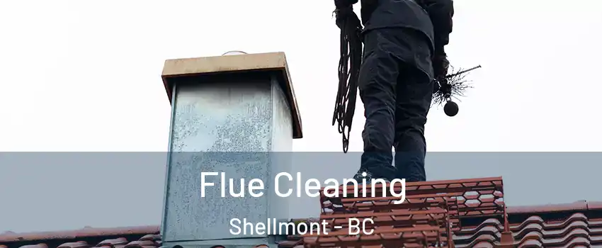  Flue Cleaning Shellmont - BC