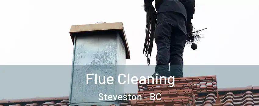  Flue Cleaning Steveston - BC