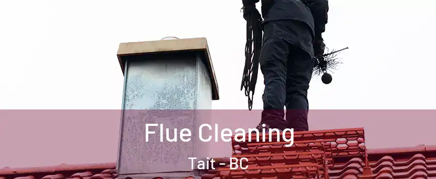  Flue Cleaning Tait - BC