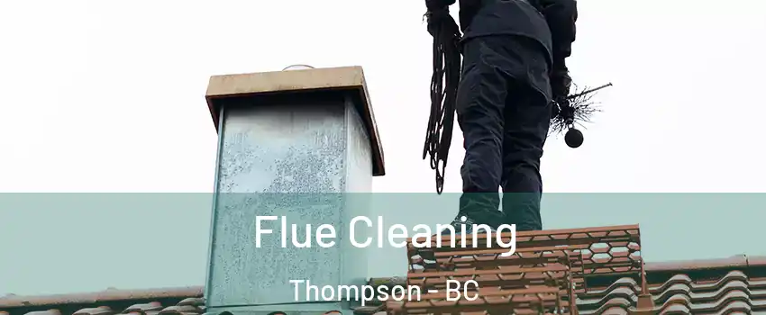 Flue Cleaning Thompson - BC