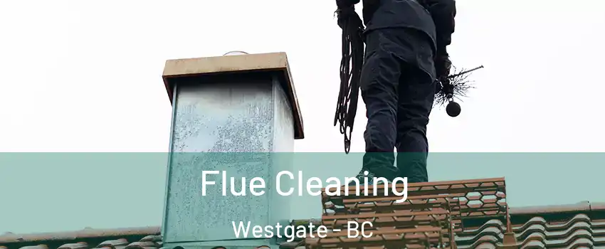  Flue Cleaning Westgate - BC