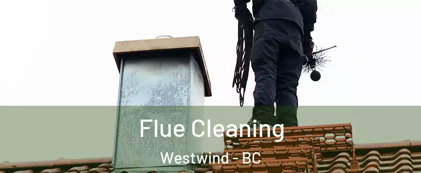  Flue Cleaning Westwind - BC
