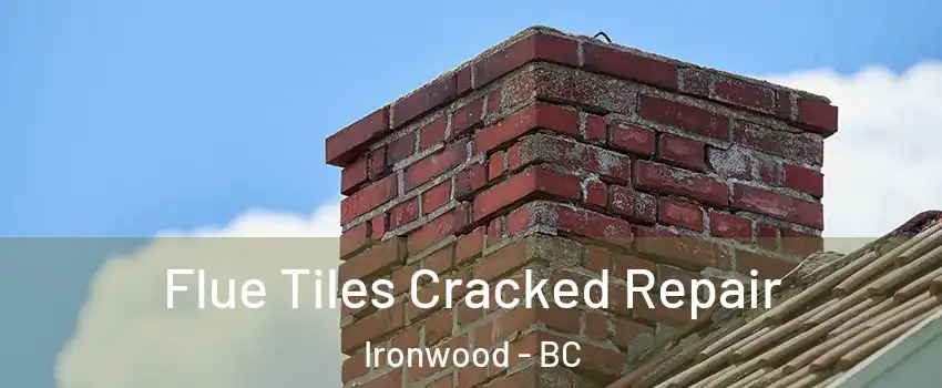  Flue Tiles Cracked Repair Ironwood - BC