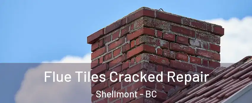  Flue Tiles Cracked Repair Shellmont - BC