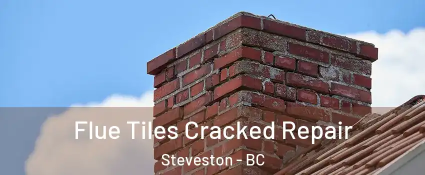  Flue Tiles Cracked Repair Steveston - BC