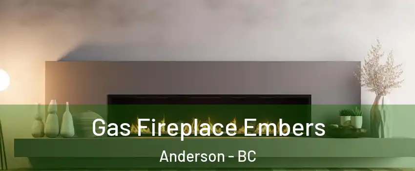  Gas Fireplace Embers Anderson - BC