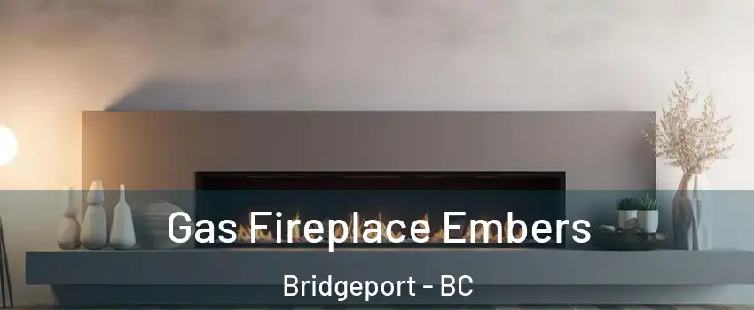  Gas Fireplace Embers Bridgeport - BC