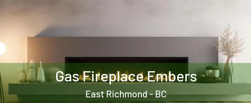  Gas Fireplace Embers East Richmond - BC
