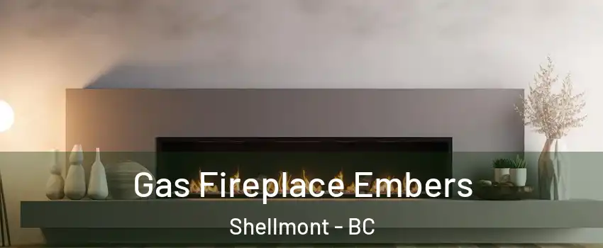  Gas Fireplace Embers Shellmont - BC
