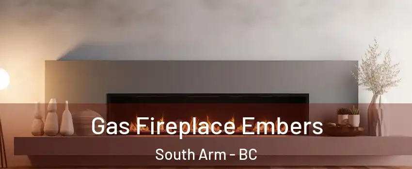  Gas Fireplace Embers South Arm - BC
