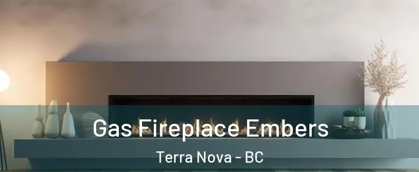 Gas Fireplace Embers Terra Nova - BC