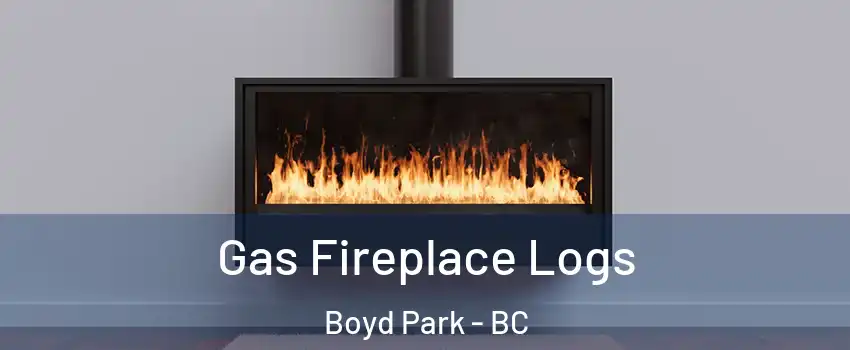  Gas Fireplace Logs Boyd Park - BC