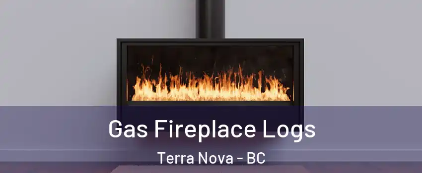  Gas Fireplace Logs Terra Nova - BC
