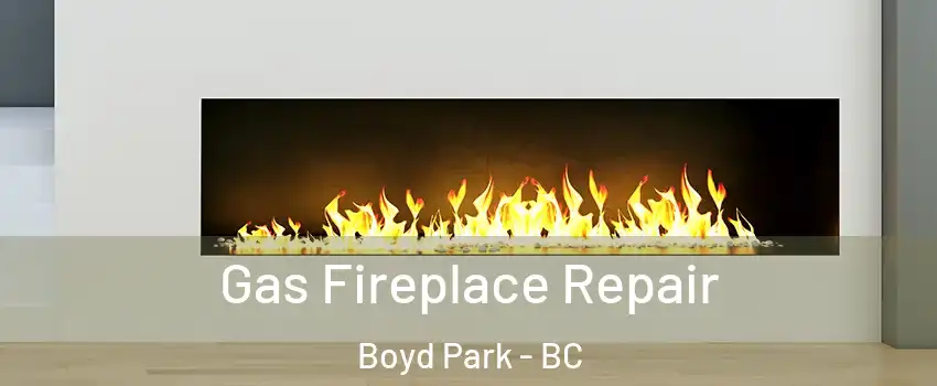  Gas Fireplace Repair Boyd Park - BC