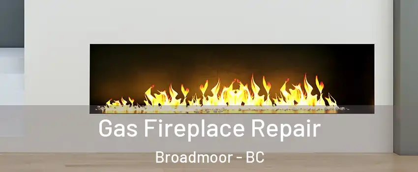  Gas Fireplace Repair Broadmoor - BC
