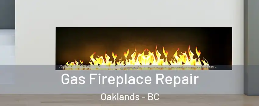  Gas Fireplace Repair Oaklands - BC