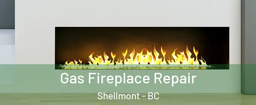  Gas Fireplace Repair Shellmont - BC