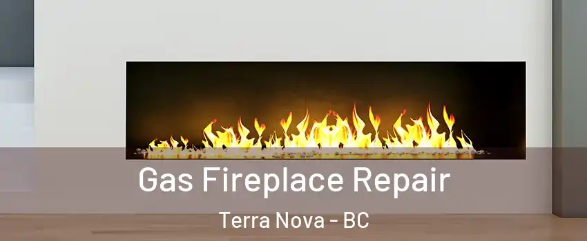  Gas Fireplace Repair Terra Nova - BC