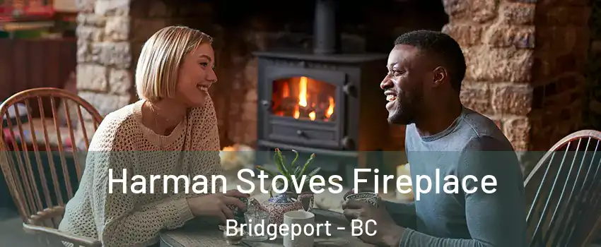  Harman Stoves Fireplace Bridgeport - BC
