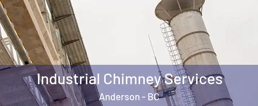  Industrial Chimney Services Anderson - BC
