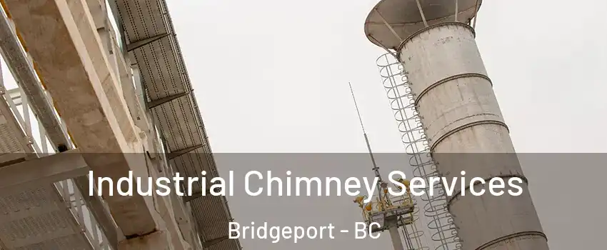 Industrial Chimney Services Bridgeport - BC