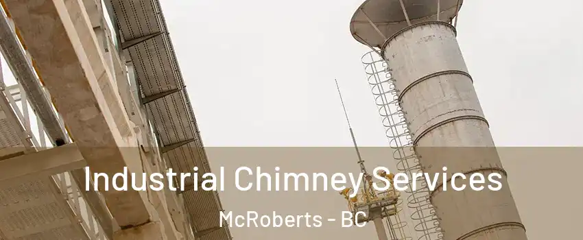 Industrial Chimney Services McRoberts - BC