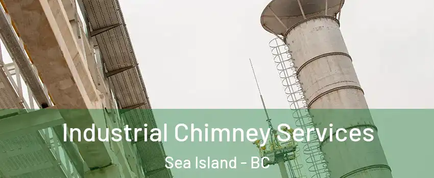  Industrial Chimney Services Sea Island - BC