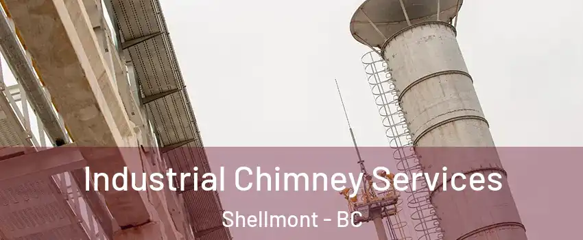  Industrial Chimney Services Shellmont - BC