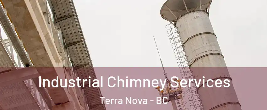  Industrial Chimney Services Terra Nova - BC