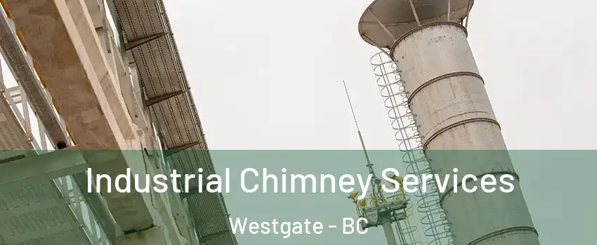  Industrial Chimney Services Westgate - BC