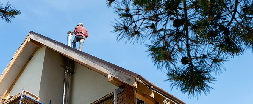 Birds Removal Contractors from Chimney in Richmond, BC
