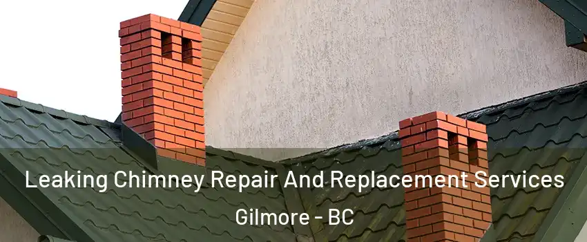  Leaking Chimney Repair And Replacement Services Gilmore - BC