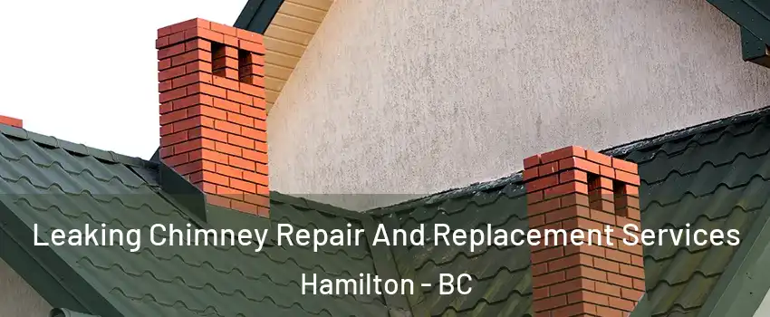 Leaking Chimney Repair And Replacement Services Hamilton - BC