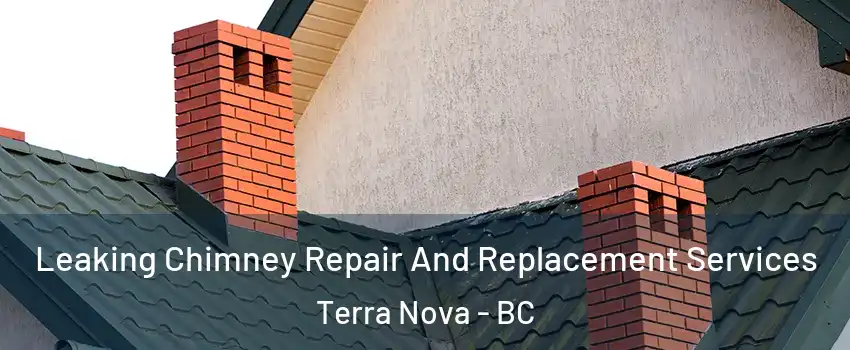  Leaking Chimney Repair And Replacement Services Terra Nova - BC
