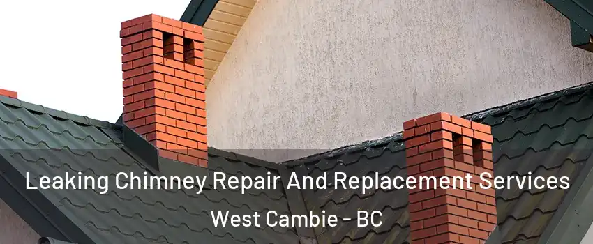  Leaking Chimney Repair And Replacement Services West Cambie - BC