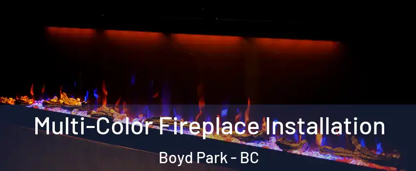  Multi-Color Fireplace Installation Boyd Park - BC