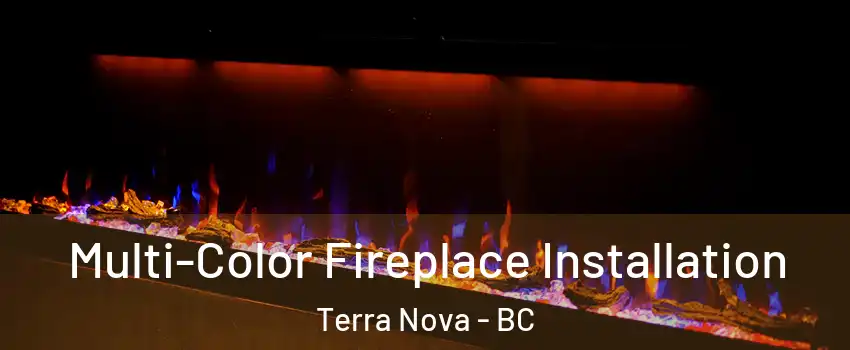  Multi-Color Fireplace Installation Terra Nova - BC