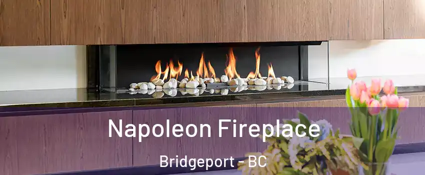  Napoleon Fireplace Bridgeport - BC