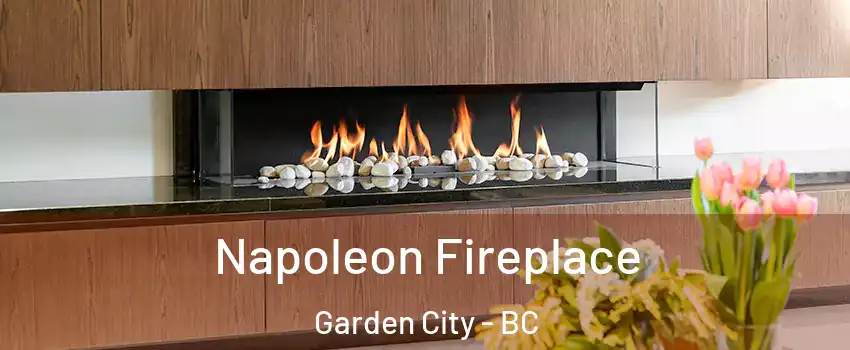  Napoleon Fireplace Garden City - BC