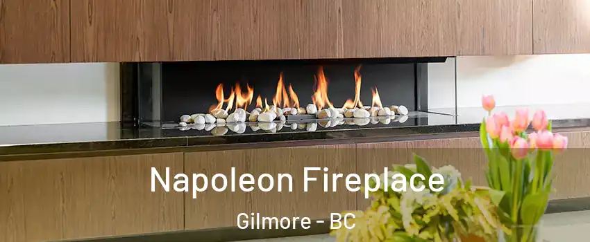  Napoleon Fireplace Gilmore - BC