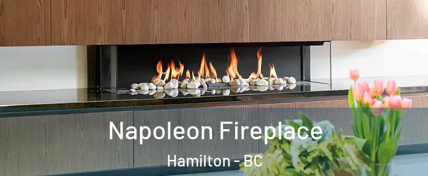  Napoleon Fireplace Hamilton - BC